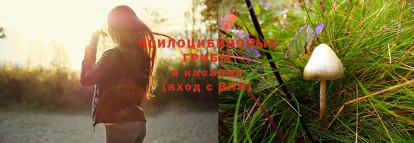 каннабис Алексин