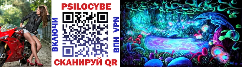 купить   Дедовск  Галлюциногенные грибы мицелий 