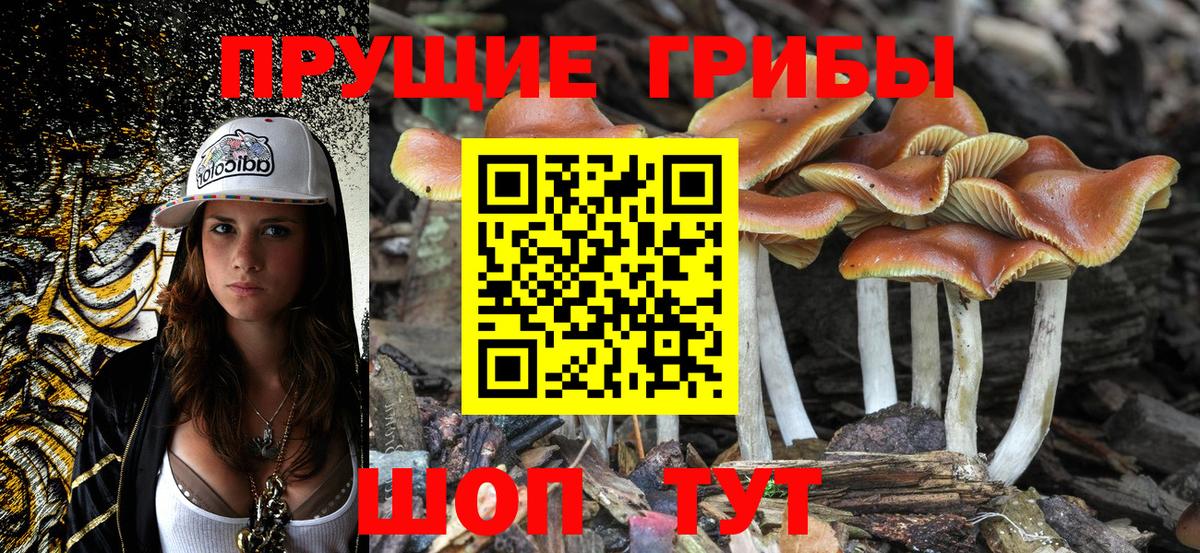 Псилоцибиновые грибы ЛСД  Вход с VPN  хочу наркоту  Дедовск 